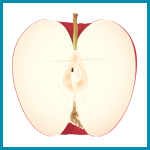 Apples Thematic Unit Apples Lesson Plans for Preschool, PreK, and Kindergarten
