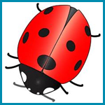 BUGS and INSECTS THEMATIC UNIT Bugs and Insects Lesson Plans for Preschool, PreK, and Kindergarten