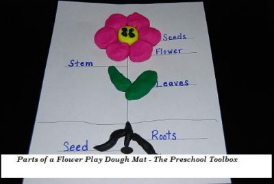 Parts of a Flower Play Dough Mats for Preschool Archives • The ...
