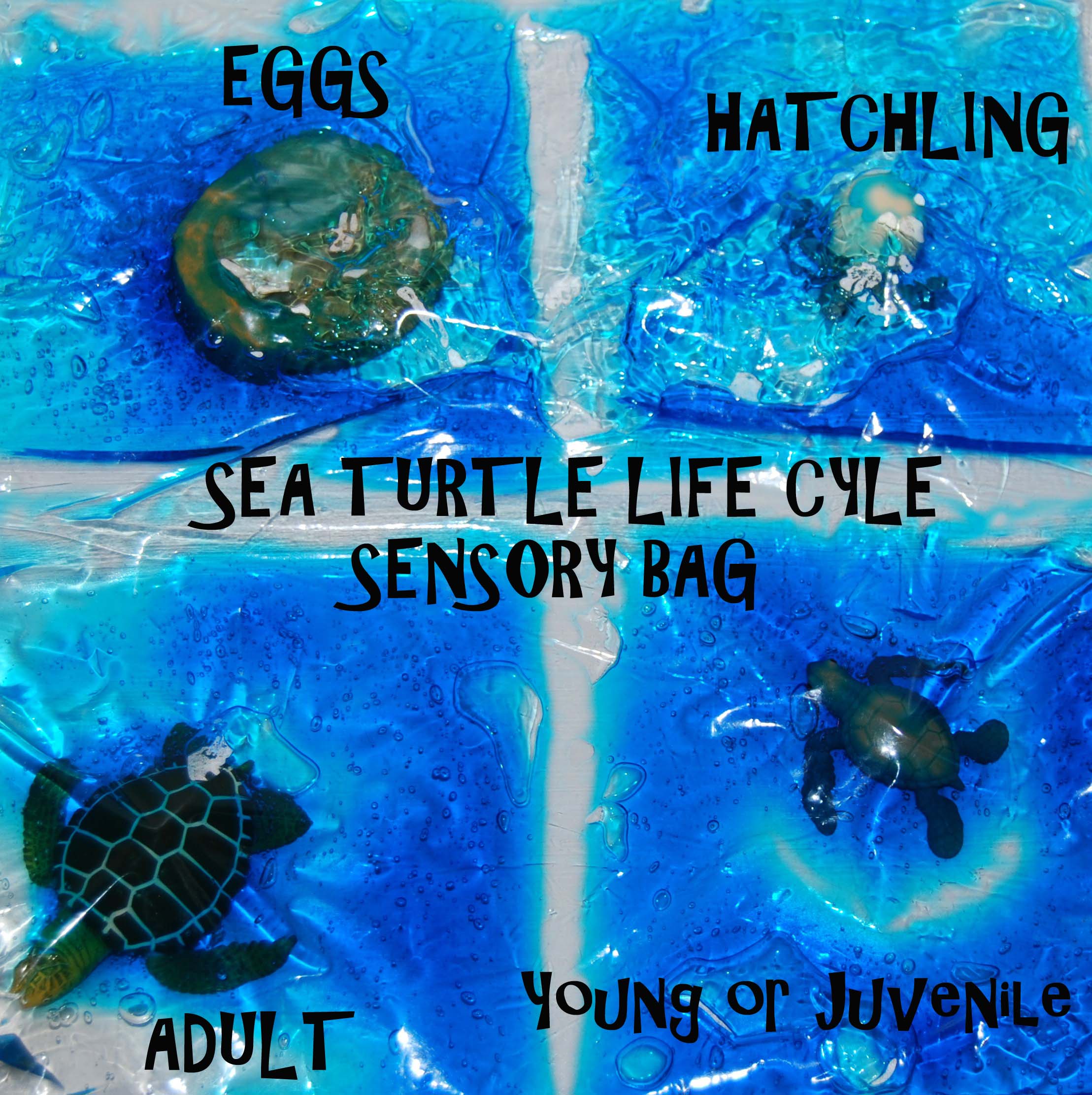 Sea Turtle Sensory Bag • The Preschool Toolbox Blog