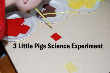 3 Little Pigs Science