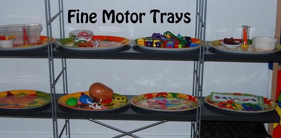 Fine Motor Trays