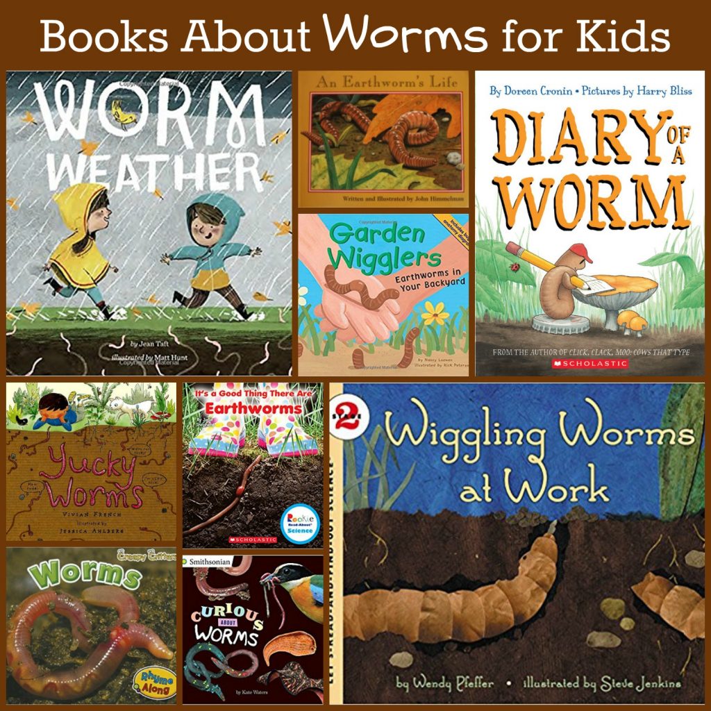 Can of Worms A Math Counting Game for Preschoolers. • The Preschool Toolbox Blog