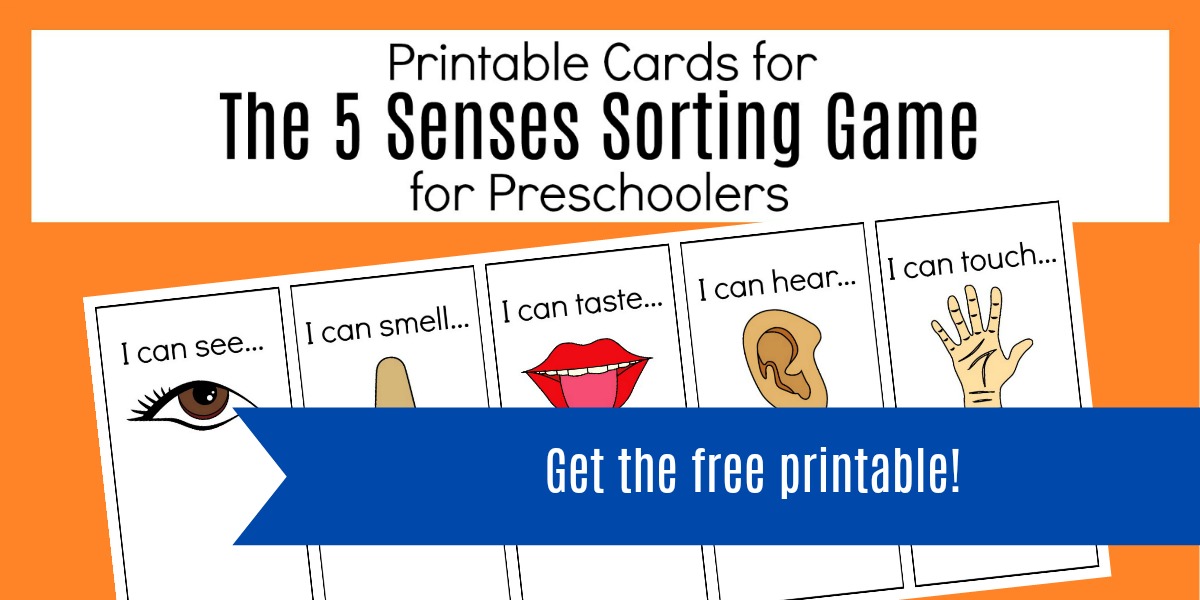 Come explore the 5 Senses with a FUN Sensory Sorting Activity for Preschoolers