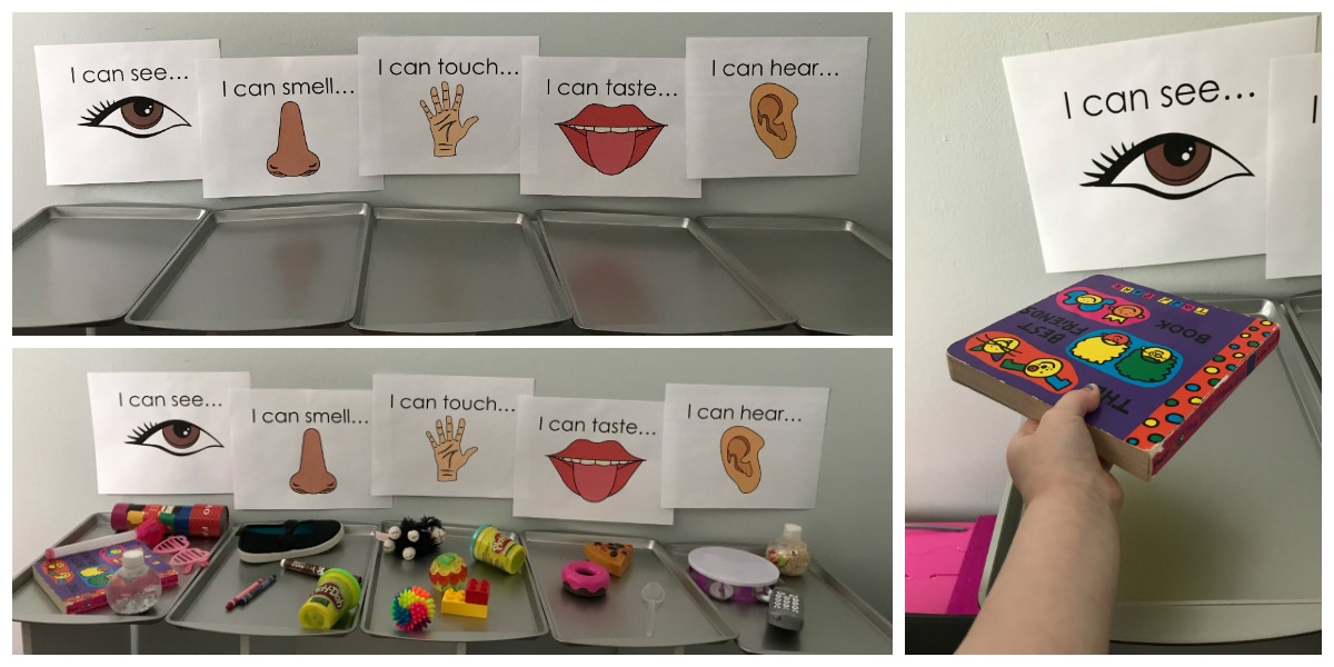 Five Senses Projects For Kindergarten