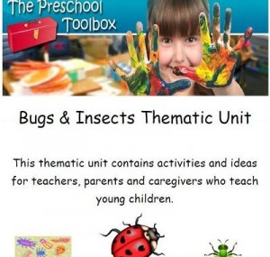 Insects and Ladybugs